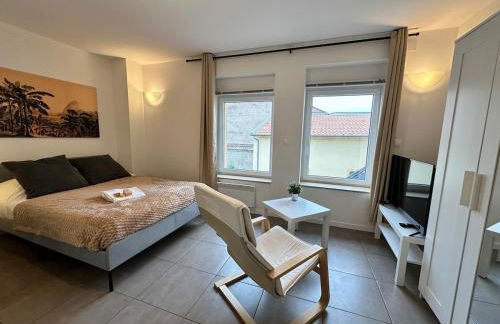 M 104 studio Palm Nest cosy et calme proche Metz - Photo 3