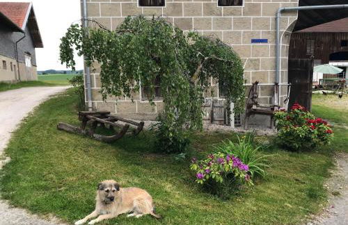 Beim-Hofbauer - Foto 21