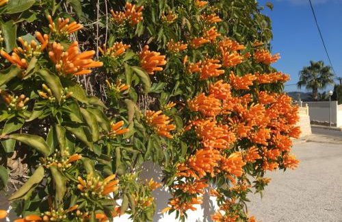 Casa La Vida, stijlvolle Spaanse villa met uniek uitzicht! - Foto 9