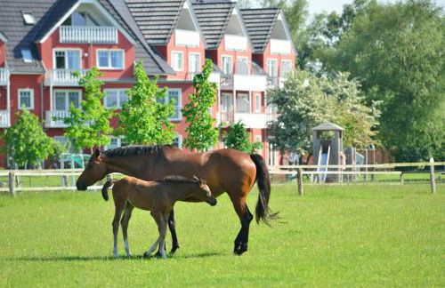 Strandhafer Aparthotel - Photo 47