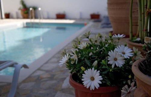 Nicola's Apartments - Photo 11