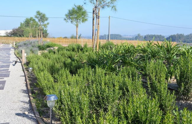 Óbidos Wood Villas - Foto 20