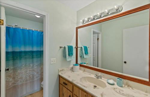 Silver Dolphin - Foto 24