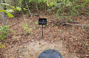 Avenwood Cabins - Foto 33