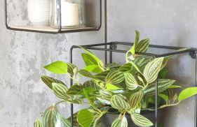 Le Cormier lodge, entre Loire et Anjou - Photo 13