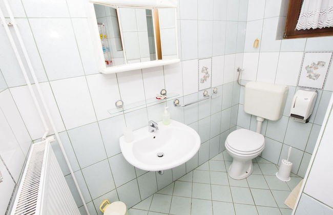 Tourist Farm Pri Martinovih - Foto 40