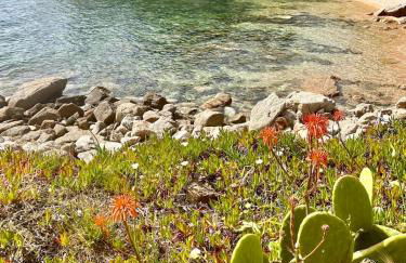 Villa Macalia - Foto 38