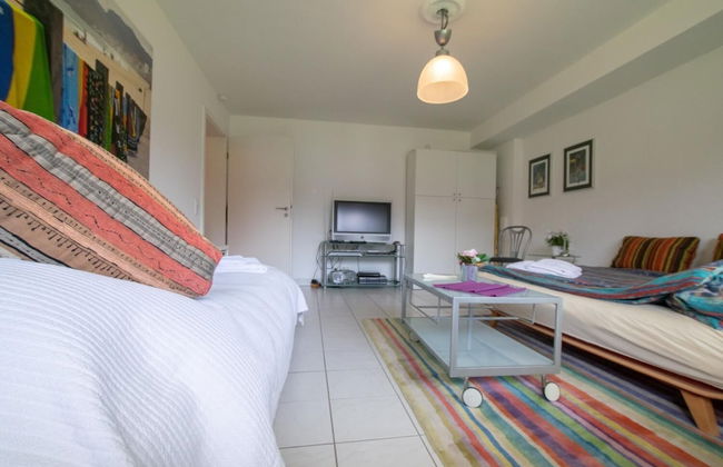 Tolstov-Hotels Big Room Apartment - Photo 8