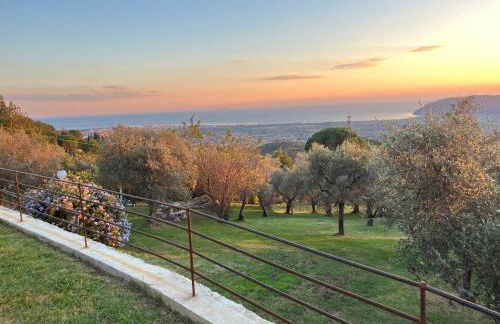 A CASA DI OLIVO - Foto 11