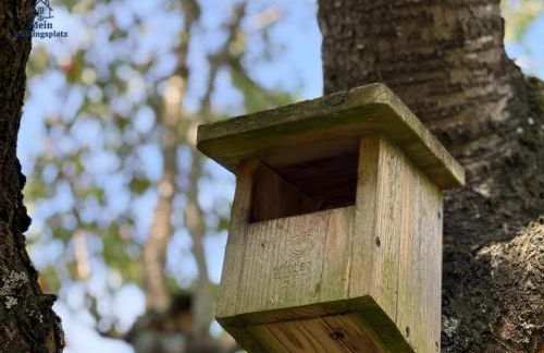 Wintertraum in Damm - 70 qm Wellness & Wohlfühl-Atmosphäre - Foto 5