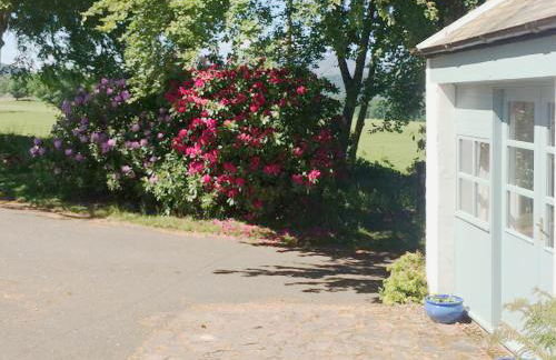 The Wee House - Photo 9