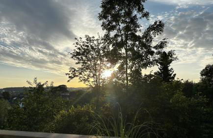 Ferienwohnung Heideberg - Foto 8