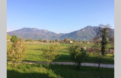 Al Portico, L'Antica Fattoria - Photo 18