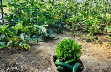 Cozy house in the Chianti region - Foto 22