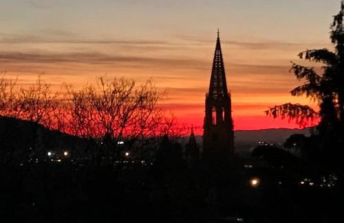 Ferienwohnung-Freiburg-Exklusiv - Foto 3