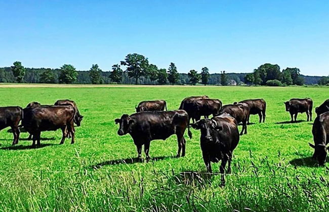 6 Person Holiday Home in Loftahammar - Photo 4