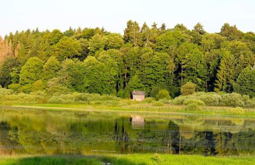 Ferienhaus Mauer Krombachtalsperre, exclusive Nebenkosten Strom - Photo 20