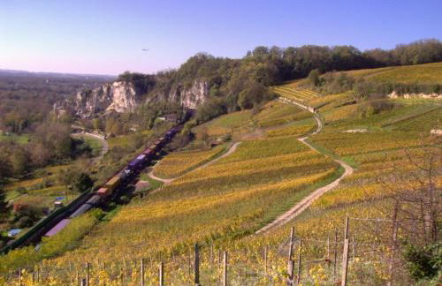 Ferienwohnung Bigi - Foto 19