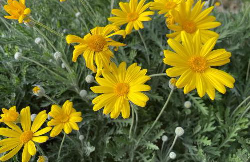 Il Nido del Falco nelle Antiche Mura - Foto 29