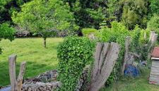 Gite en Médoc - Foto 4