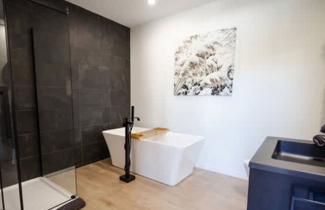 Sommet- Pet Friendly- Spa- SKI IN SKI OUT St-c me - Foto 10