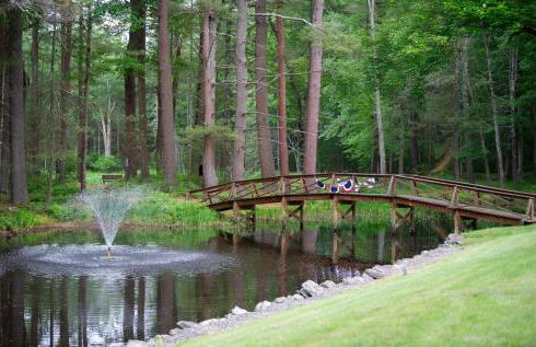 Historic Winery Farmhouse by Lake - Foto 47