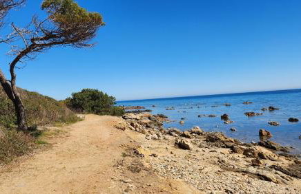 Le Pavoncelle - Foto 37