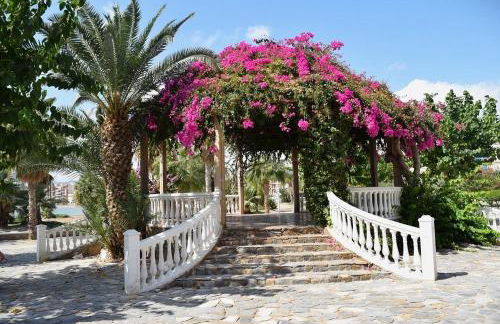 Alojamiento Oasis Playa - Foto 32