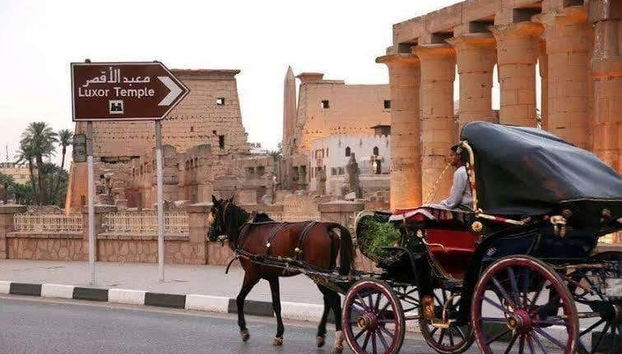 Vistas do Templo de Luxor