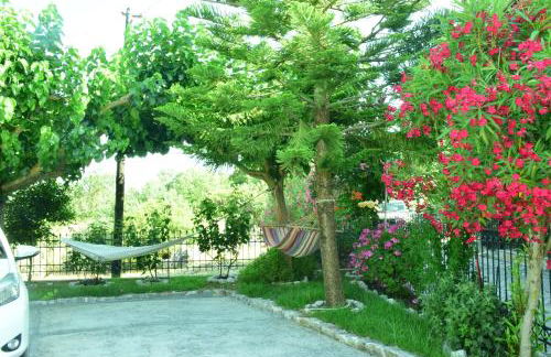 Sparto Village - Photo 10