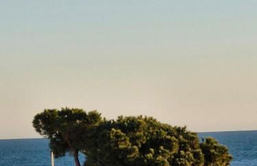 Juan-Les-Pins centre - Foto 8