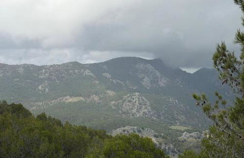 Los Llanos del Campo - Foto 44