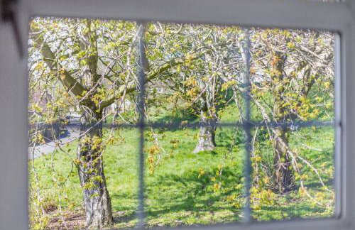 Hillside Cottage - Foto 12