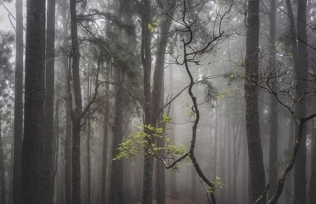 Mount view family rest & cottage - Photo 46