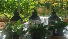 Villa Castellanos - Photo 5