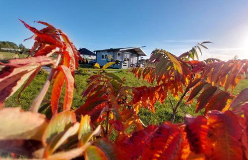 Domki pod Łebą - Photo 8