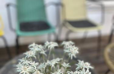 Villa Maria Dolomites Vintage Home - Foto 19