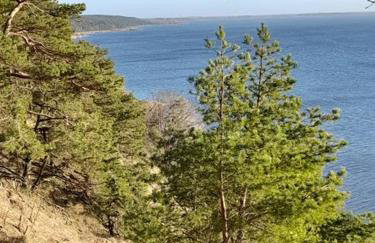 Apartamenty Pod Debem (Ferienwohnungen an der uralten Eiche) - Foto 30