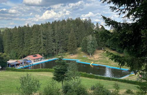 Apartment Schwarzwald-Anni Pool Tennis Sauna - Foto 27