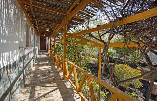 Finca Fani 4 - Foto 21