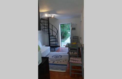 casa das laranjeiras - Foto 14