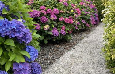 Galloway Farmstay Claunch - Foto 32