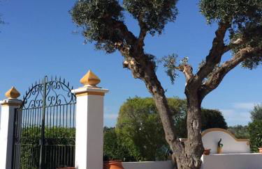 Monte dos Aroeirais - Foto 31