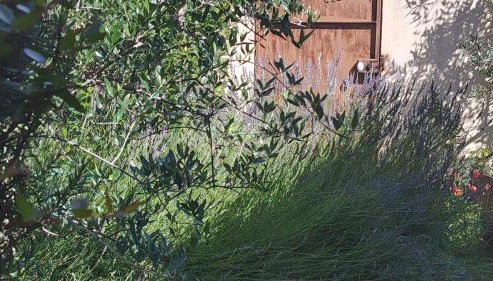 Petit gite de Provence - Foto 5