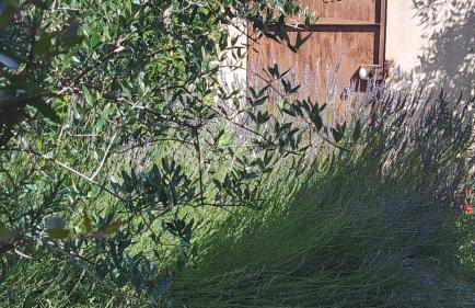 Petit gite de Provence - Foto 5
