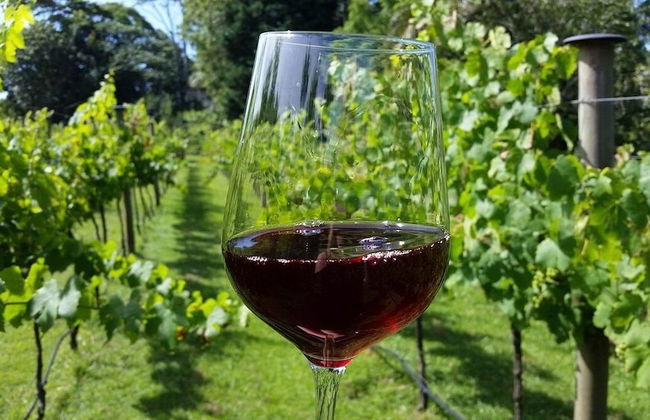 Shambala Estate - Photo 29