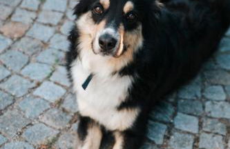 Cascina Bringin - Photo 11