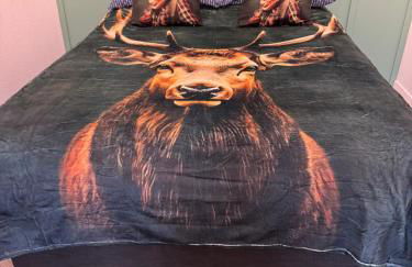 Helens Lybster cosy cottage on NC500 - Foto 10