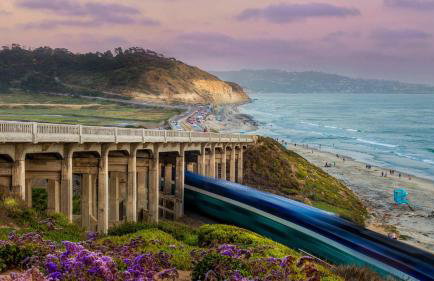 Del Mar Deluxe Palace - Majestic - Iconic- Retreat - Photo 58