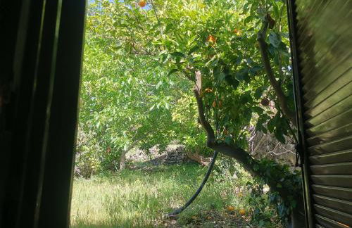 La Fattoria Dei Nonni - Foto 34